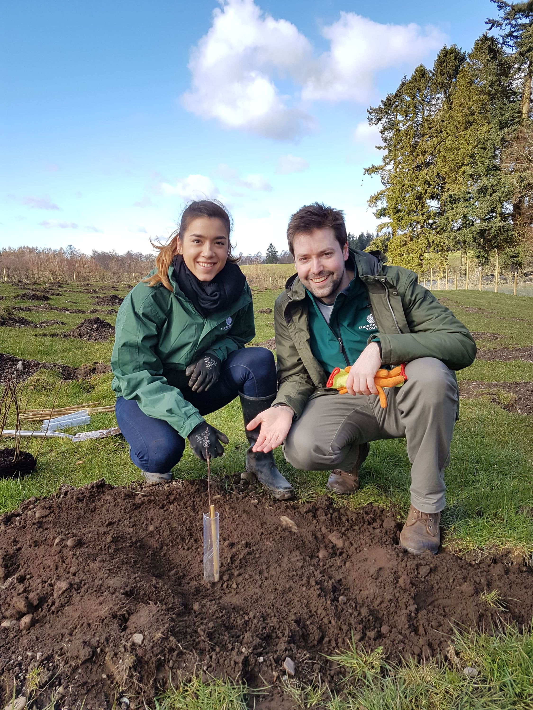 Timberbush Team planting trees