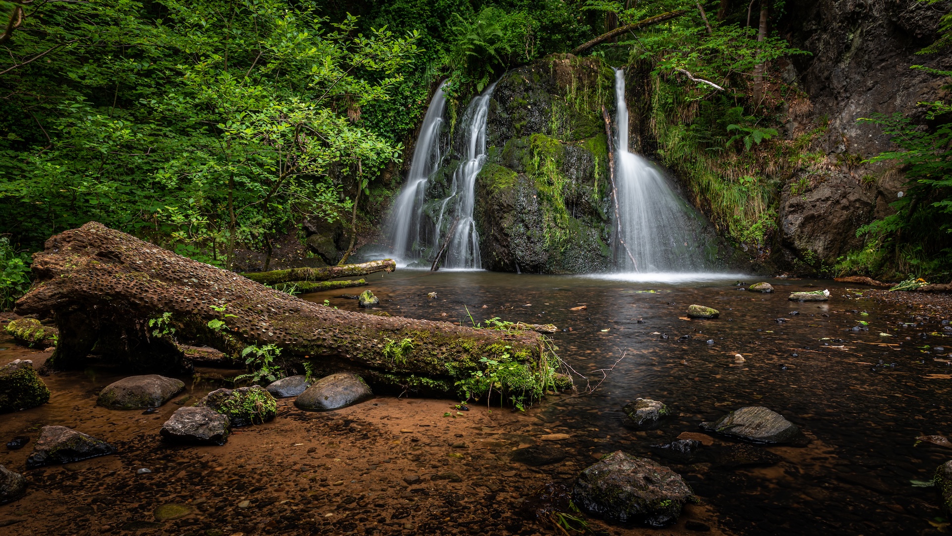 Black Isle Brewery, Fairy Glen Falls & the Dolphin Coast